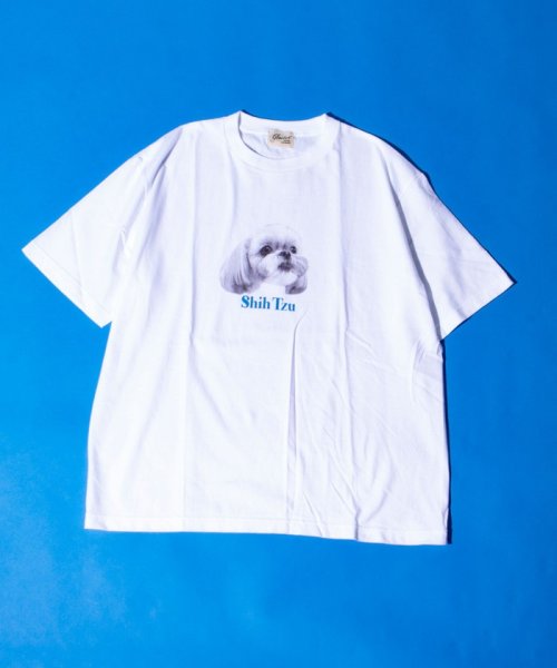 GLOSTER(GLOSTER)/【新柄追加】【GLOSTER/グロスター】DOG&CAT 犬猫プリントTシャツ/img09