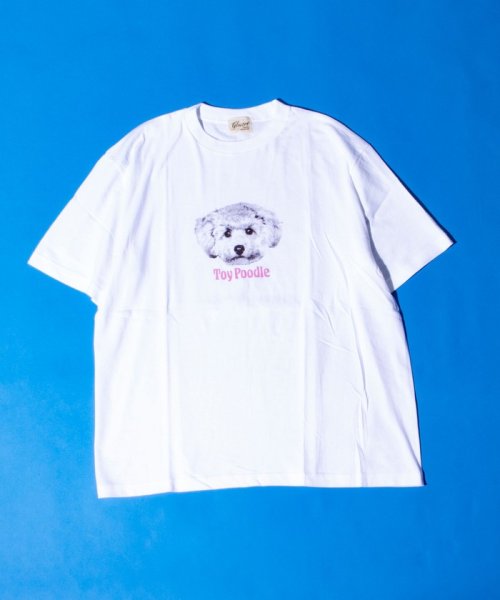 GLOSTER(GLOSTER)/【新柄追加】【GLOSTER/グロスター】DOG&CAT 犬猫プリントTシャツ/img10