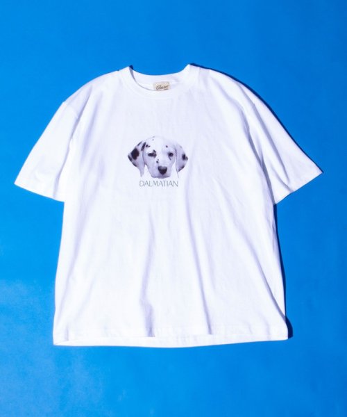 GLOSTER(GLOSTER)/【新柄追加】【GLOSTER/グロスター】DOG&CAT 犬猫プリントTシャツ/img11