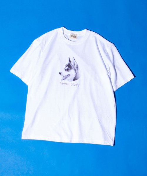GLOSTER(GLOSTER)/【新柄追加】【GLOSTER/グロスター】DOG&CAT 犬猫プリントTシャツ/img12