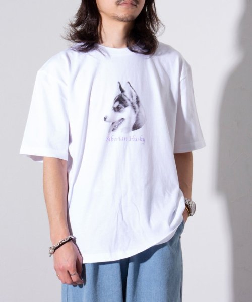 GLOSTER(GLOSTER)/【新柄追加】【GLOSTER/グロスター】DOG&CAT 犬猫プリントTシャツ/img14