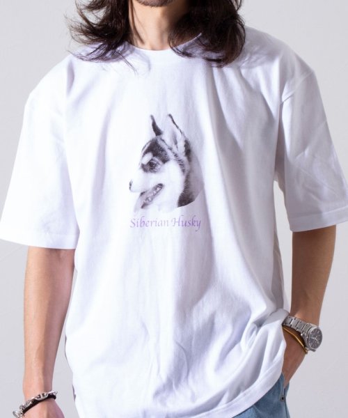 GLOSTER(GLOSTER)/【新柄追加】【GLOSTER/グロスター】DOG&CAT 犬猫プリントTシャツ/img16