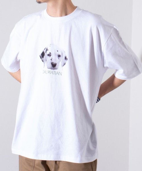 GLOSTER(GLOSTER)/【新柄追加】【GLOSTER/グロスター】DOG&CAT 犬猫プリントTシャツ/img21