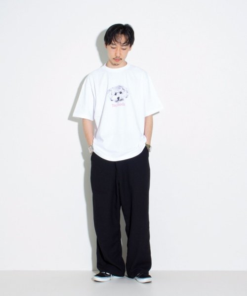 GLOSTER(GLOSTER)/【新柄追加】【GLOSTER/グロスター】DOG&CAT 犬猫プリントTシャツ/img28