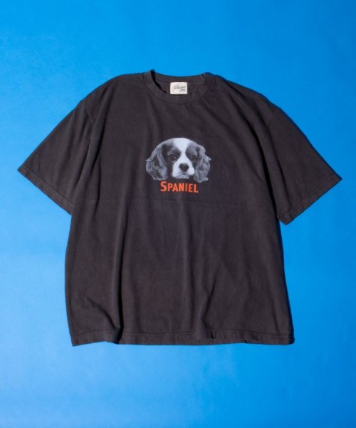 GLOSTER(GLOSTER)/【新柄追加】【GLOSTER/グロスター】DOG&CAT 犬猫プリント ピグメント プリントTシャツ/img07