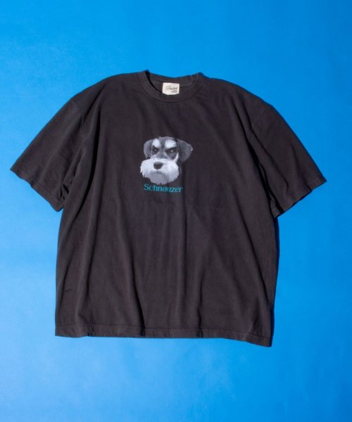 GLOSTER(GLOSTER)/【新柄追加】【GLOSTER/グロスター】DOG&CAT 犬猫プリント ピグメント プリントTシャツ/img08