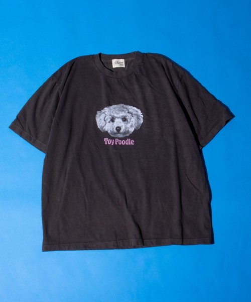 GLOSTER(GLOSTER)/【新柄追加】【GLOSTER/グロスター】DOG&CAT 犬猫プリント ピグメント プリントTシャツ/img10