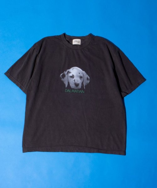 GLOSTER(GLOSTER)/【新柄追加】【GLOSTER/グロスター】DOG&CAT 犬猫プリント ピグメント プリントTシャツ/img11