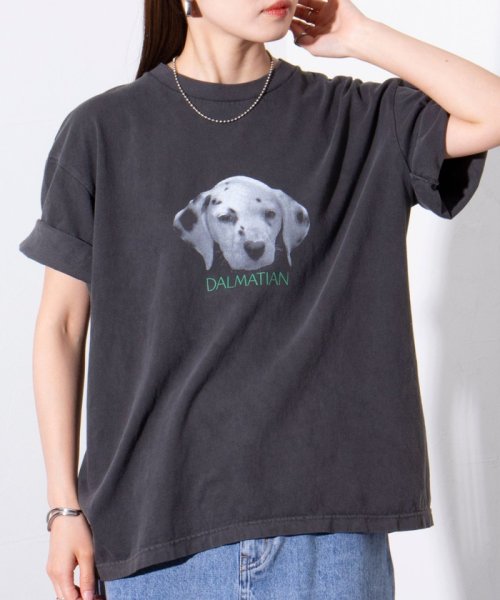 GLOSTER(GLOSTER)/【新柄追加】【GLOSTER/グロスター】DOG&CAT 犬猫プリント ピグメント プリントTシャツ/img16