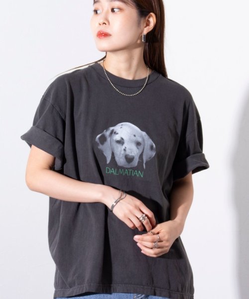 GLOSTER(GLOSTER)/【新柄追加】【GLOSTER/グロスター】DOG&CAT 犬猫プリント ピグメント プリントTシャツ/img17