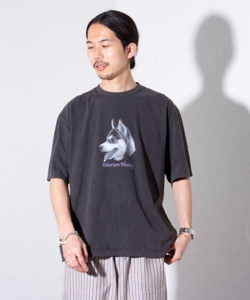 GLOSTER(GLOSTER)/【新柄追加】【GLOSTER/グロスター】DOG&CAT 犬猫プリント ピグメント プリントTシャツ/img19