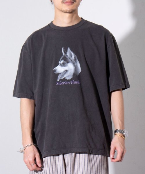 GLOSTER(GLOSTER)/【新柄追加】【GLOSTER/グロスター】DOG&CAT 犬猫プリント ピグメント プリントTシャツ/img20