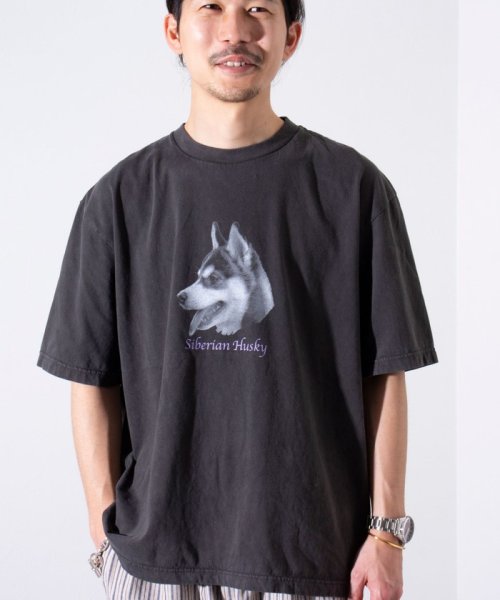 GLOSTER(GLOSTER)/【新柄追加】【GLOSTER/グロスター】DOG&CAT 犬猫プリント ピグメント プリントTシャツ/img23