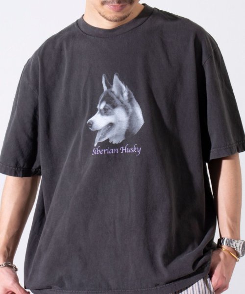 GLOSTER(GLOSTER)/【新柄追加】【GLOSTER/グロスター】DOG&CAT 犬猫プリント ピグメント プリントTシャツ/img24