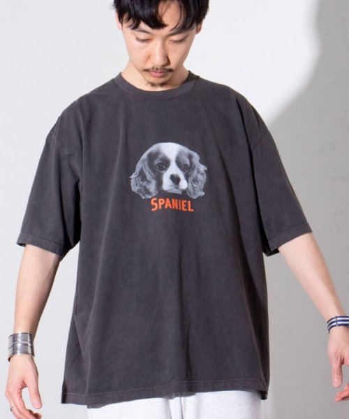 GLOSTER(GLOSTER)/【新柄追加】【GLOSTER/グロスター】DOG&CAT 犬猫プリント ピグメント プリントTシャツ/img27
