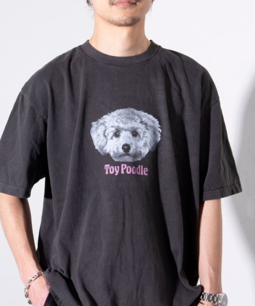 GLOSTER(GLOSTER)/【新柄追加】【GLOSTER/グロスター】DOG&CAT 犬猫プリント ピグメント プリントTシャツ/img34