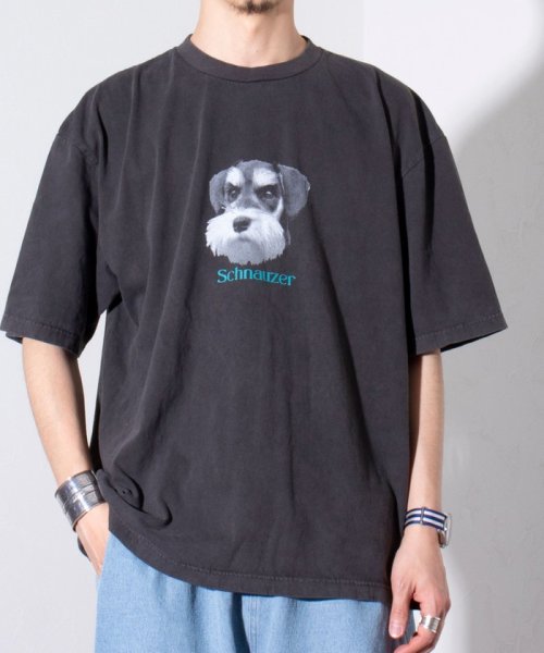 GLOSTER(GLOSTER)/【新柄追加】【GLOSTER/グロスター】DOG&CAT 犬猫プリント ピグメント プリントTシャツ/img37