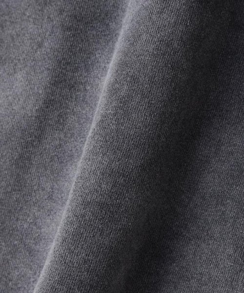 DankeSchon/ダンケシェーン/SPRAYING PIGMENT NSHD FANG DankeSchon K1400425260(10725円)