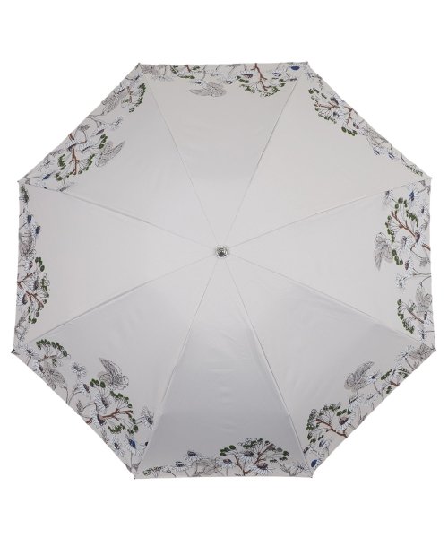 ジルスチュアート JILLSTUART 日傘 折りたたみ 晴雨兼用 完全遮光 軽量 レディース 50cm 100%遮光率 UVカット 遮熱 紫外線対策 コンパク 人気・おすすめ｜多用途・生活用品におすすめ 口コミ人気 即納 比較検討中の方に