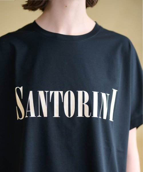 DRESSTERIOR(ドレステリア)/SANTORINI箔ロゴTシャツ/img11