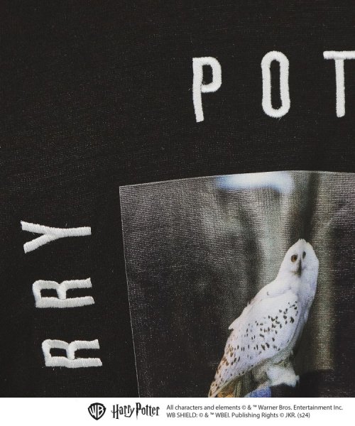 tk.TAKEO KIKUCHI(ティーケー　タケオキクチ)/【Harry Potter Capsule Collection】フォトプリントTシャツ/img37