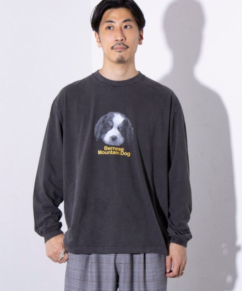 GLOSTER(GLOSTER)/【GLOSTER/グロスター】DOG&CAT 犬猫プリント ピグメント プリントロンT 長袖Tシャツ/img24