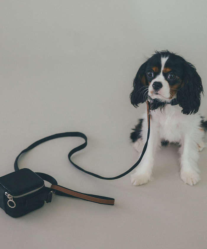 MATIE/ペットリュックミニ「Produce by 有末 麻祐子」ブラック 黒