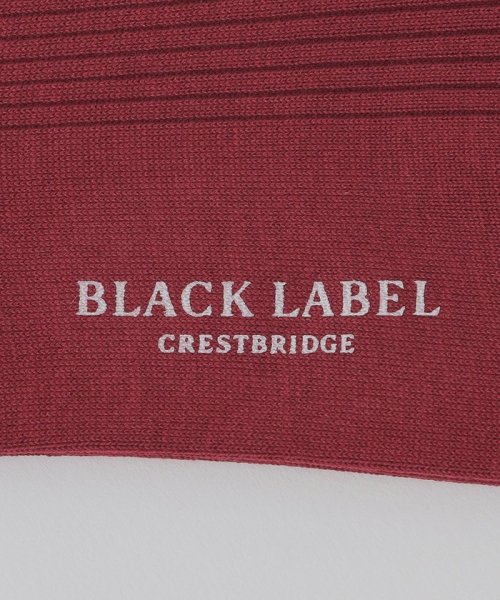 BLACK LABEL CRESTBRIDGE(BLACK LABEL CRESTBRIDGE)/カラーソリッドドレスソックス/img11