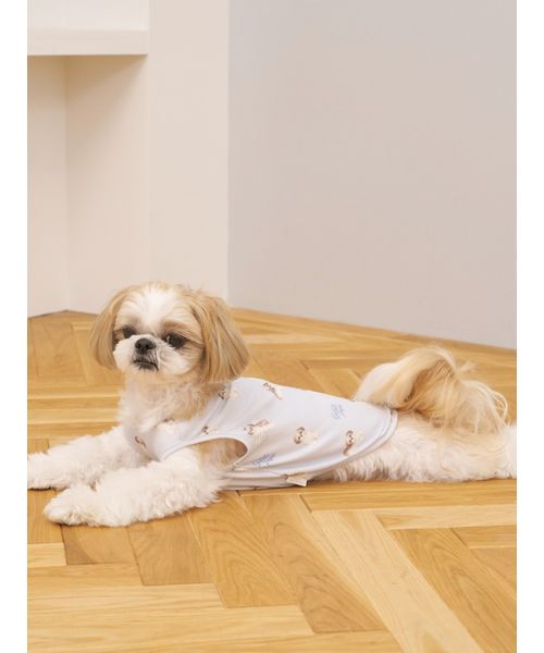 オーダー受付☆秋の気配シーズー オーダー受付☆秋の気配シーズー シーズー | Dog salon en-ululu