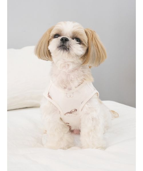 オーダー受付☆秋の気配シーズー オーダー受付☆秋の気配シーズー シーズー | Dog salon en-ululu