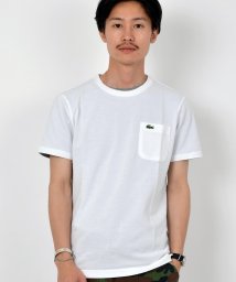 SHIPS MEN(シップス　メン)/LACOSTE: カノコ ポケット Tシャツ/ホワイト