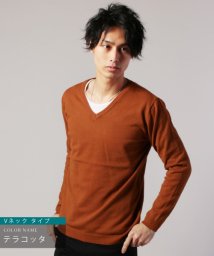 THE CASUAL(ザ　カジュアル)/(バイヤーズセレクト) Buyer's Select  360°ストレッチ 長袖 クルーネック Vネック ニット セーター/ブラウン系1