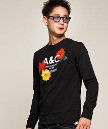 anchor craft(アンカークラフト)/anchorcraft【アンカークラフト】バラプリントクルーネック長袖Tシャツ/ブラック