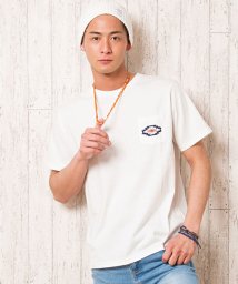 CavariA(キャバリア)/CavariA【キャバリア】ネイティブ柄刺繍クルーネック半袖Tシャツ/アイボリー