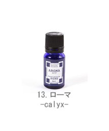 BACKYARD FAMILY(バックヤードファミリー)/アロマエッセンス ブルーラベル AROMA ESSENCE Blue Label 8ml 21－28番/28種類中/その他系1