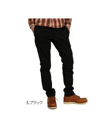 BACKYARD FAMILY/ディッキーズ Dickies 801 スキニー ワークパンツ/501038306