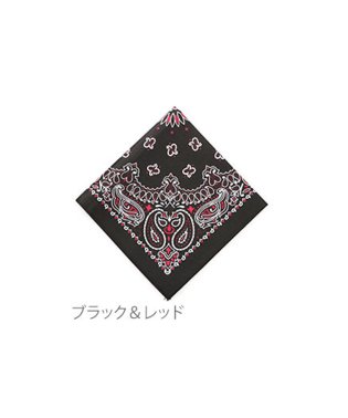 BACKYARD FAMILY/ハバハンク HAV－A－HANK PAISLEY BANDANNA/501038641