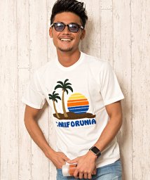 CavariA(キャバリア)/CavariA【キャバリア】サガラ刺繍クルーネック半袖Tシャツ/オフホワイト系1