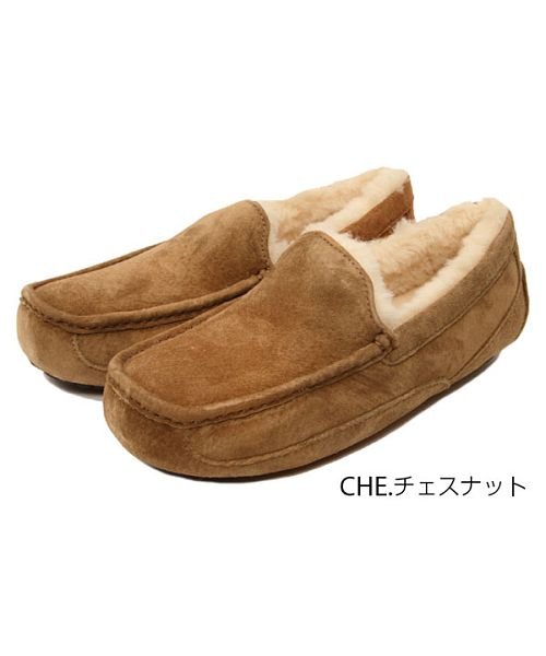 BACKYARD FAMILY(バックヤードファミリー)/アグ オーストラリア UGG Australia MEN'S M Ascot #5775/ベージュ