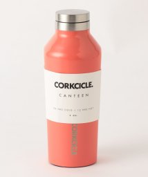 BEAUTY&YOUTH UNITED ARROWS(ビューティーアンドユース　ユナイテッドアローズ)/【国内exclusive】＜CORKCICLE＞CANTEEN 270ml ウォーターボトル/PINK