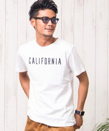 CavariA(キャバリア)/CavariA【キャバリア】サガラ刺繍デザインクルーネック半袖Tシャツ/ホワイト