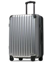 tavivako(タビバコ)/Proevo スーツケース キャリーケース l 大型 拡張 大容量 ストッパー付き ダイヤル TSA 受託手荷物 キャリーバッグ/シルバー