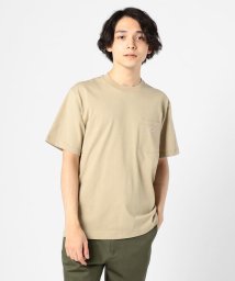 GLOSTER(GLOSTER)/【DANTON/ダントン】ポケット付Tシャツ JD－9041/ベージュ