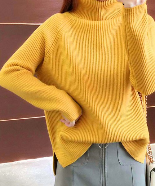 リブ タートルネック ニット レディース プルオーバー ニット トップス 長袖 ニット 即納 ミニミニストア Miniministore Magaseek