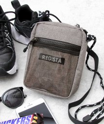 REGiSTA(レジスタ)/クリアポケットミニショルダーバッグ/縦型/サコッシュ/ブラウン