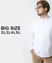 MARUKAWA(大きいサイズのマルカワ)/大きいサイズ 長袖 シャツ 麻混 無地/ホワイト