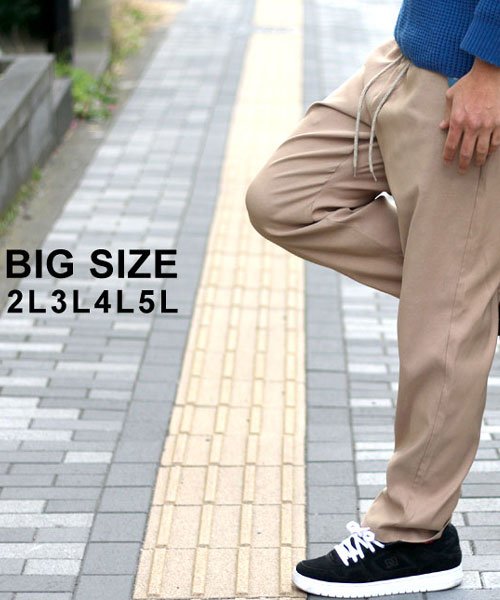 MARUKAWA(大きいサイズのマルカワ)/大きいサイズ パンツ ストレッチ レギンス レギパン 吸汗速乾/ベージュ