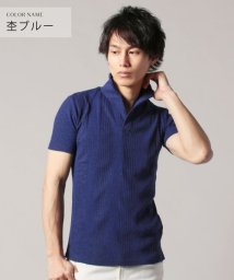 THE CASUAL(ザ　カジュアル)/(スプ) SPU ランダムテレコ襟ワイヤースキッパー半袖ポロシャツ/ブルー