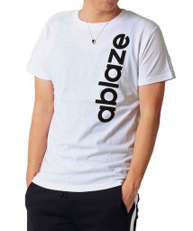 TopIsm(トップイズム)/ボックスロゴプリントクルーネック半袖Tシャツ/ホワイト系1