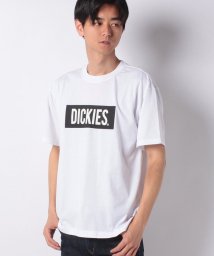MARUKAWA(マルカワ)/【別注】【Dickies】ディッキーズ ボックスロゴ 半袖Tシャツ/ホワイト